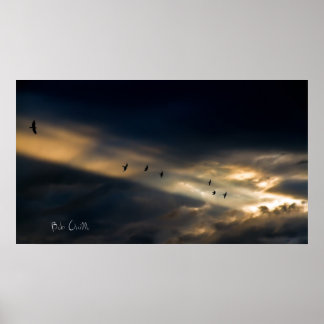 Pôster Sete visão de pássaro, Bob Orsillo