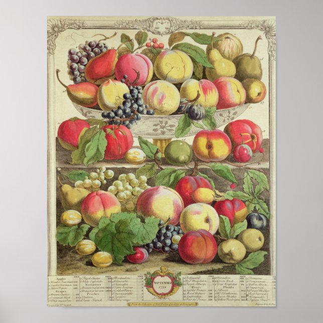 Poster Setembro, de doze meses de Fruta (Frente)