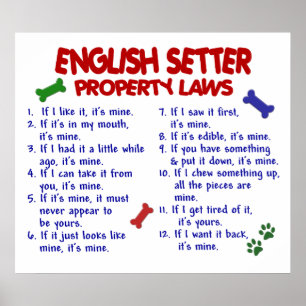 POSTER SETTER INGLÊS PL2