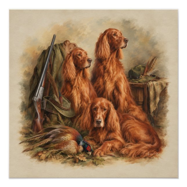 Pôster Setter Irlandês, Arte  (Frente)