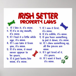 PÔSTER SETTER IRLANDÊS PL2