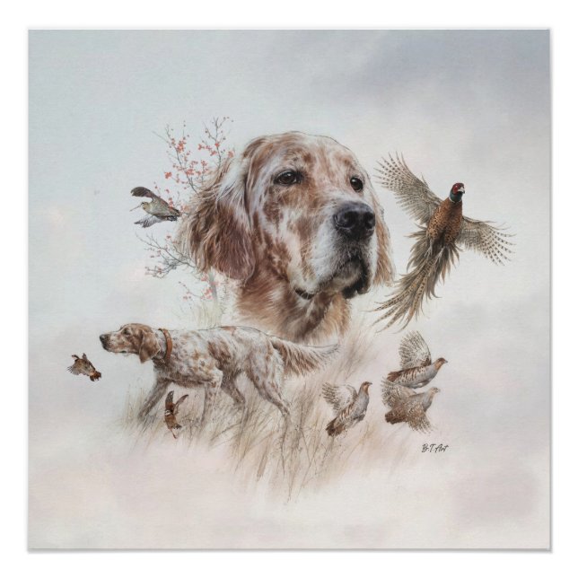 Pôster Setter Lindo, Arte (Frente)