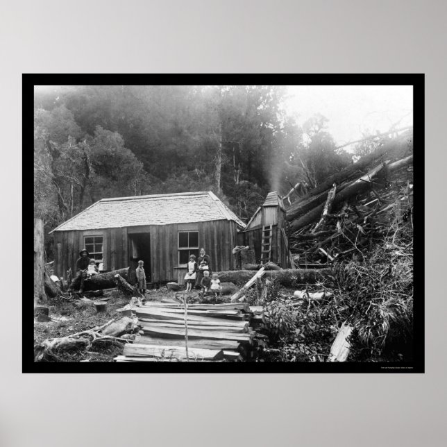 Pôster Settler Homestead na Nova Zelândia 1906 (Frente)