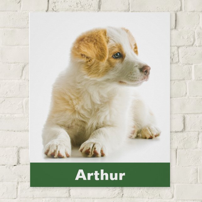 Pôster Seu Amante de os animais Personalizado de Foto Pet (Create your own glossy poster with a favorite photo of your dog, personalized with your pet's name)