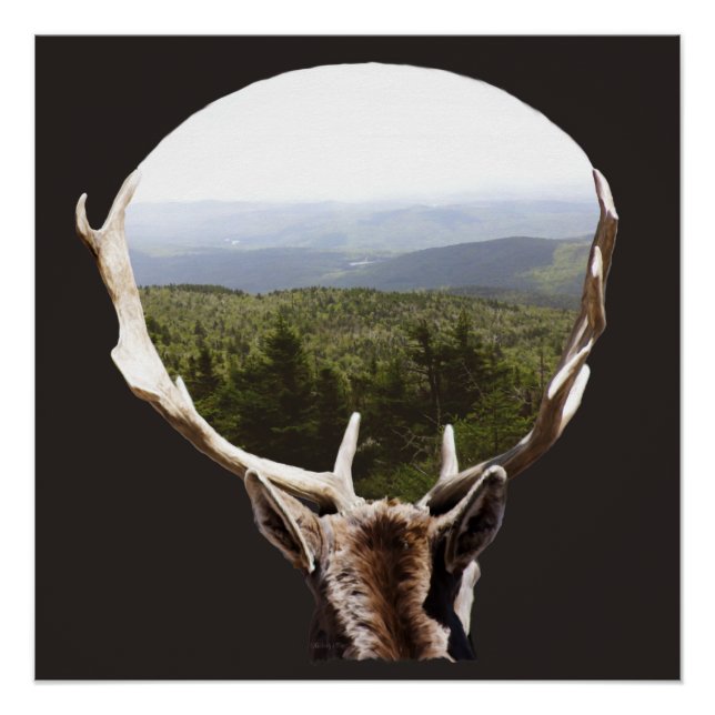 Pôster Seu Domínio (Frente)