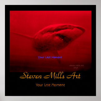 Pôster Seu Último Momento