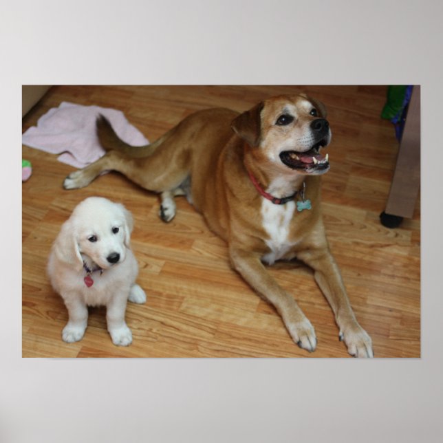 Pôster Seus bebês no papel (Frente)