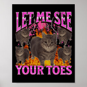 Poster Seus Dedos do Pé Gato Engraçado Meme Bootleg Gráfi