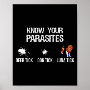 Poster Seus Parasitas - Carrapato de Veado