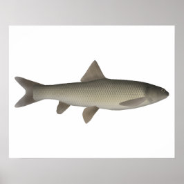 Poster Seven Khramulya