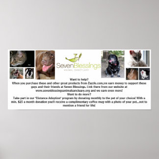 Pôster sevenblessings.org