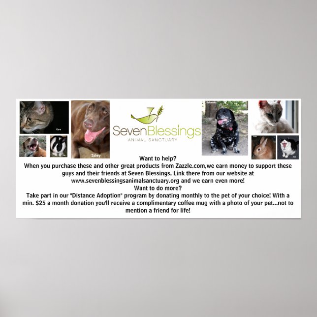 Pôster sevenblessings.org (Frente)