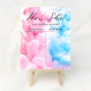 Poster Sexo de Bebê, Rosa e Azul