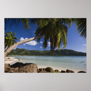 Pôster Seychelles, Ilha de Mahe, Anse a la Mouche