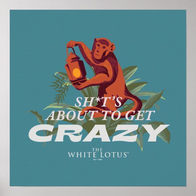 Poster Sh*t está prestes a ficar louco - O Lotus Branco (Frente)