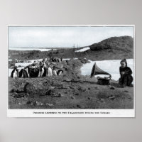 Shackleton na Antártida Gramofone com Pinguins