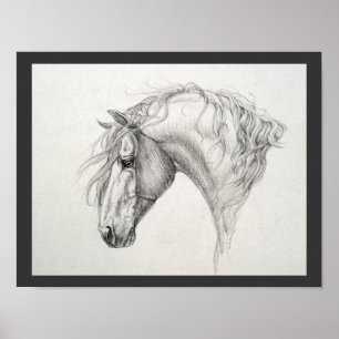 Pôster Shadowfax