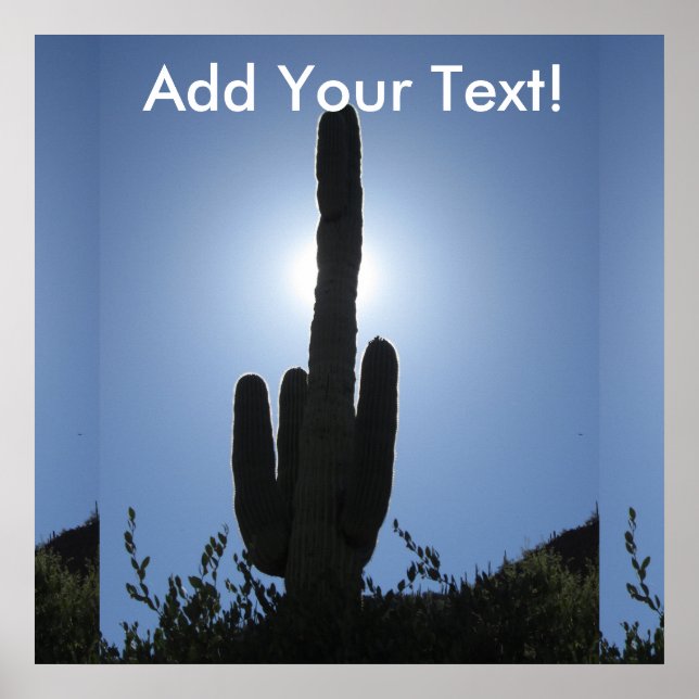 Pôster Shady Saguaro (Frente)