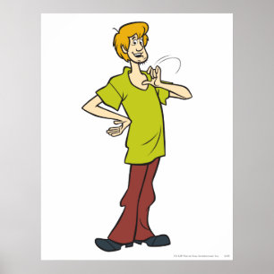 Poster Shaggy Gesturing