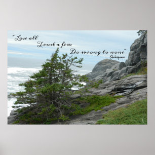 Poster Shakespeare do Mar Selvagem Não faça mal a ninguém