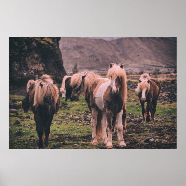 POSTER SHALLOW FOCUS PHOTOGRAPHY OF HORSES (Frente)