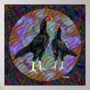 Pôster Shamo:  Pares pretos