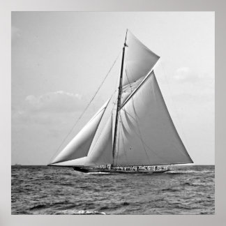 Poster Shamrock II no ponto externo 1901 BW