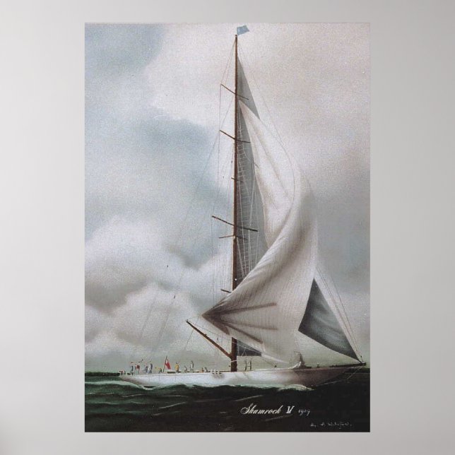 Pôster Shamrock IV (Frente)