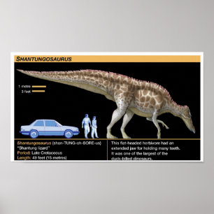 Poster Shantungosaurus - Biologia Jurássica
