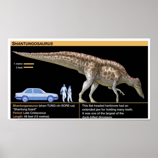 Poster Shantungosaurus - Biology Jurassic (Frente)
