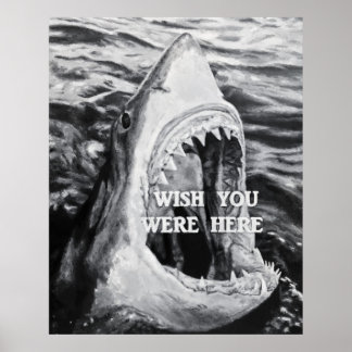 Poster Shark