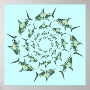 Poster sharks swimming in circles
