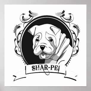 PÔSTER SHARPEI (2)