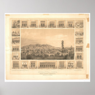 Poster Shasta, mapa panorâmico 1856 do CA (1612A)