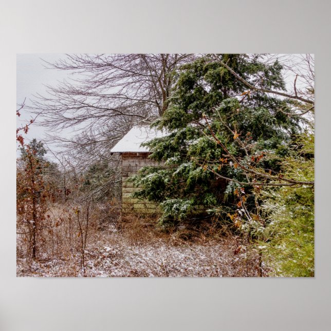 Poster Shed Abandonado (Frente)