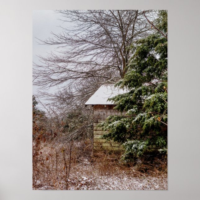 Poster Shed Abandonado (Frente)