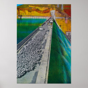 Pôster Sheep across Grand Coulee Dam
