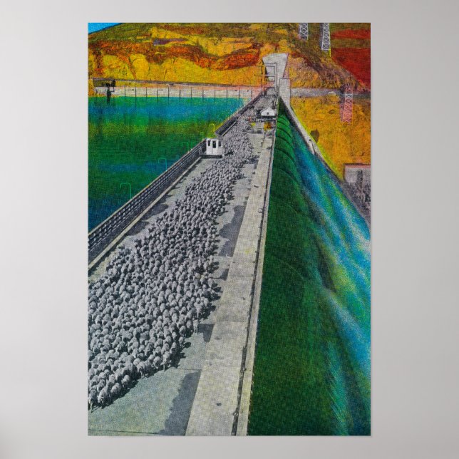 Pôster Sheep across Grand Coulee Dam (Frente)