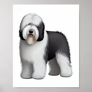 Poster Sheepdog 10 antigo inglês