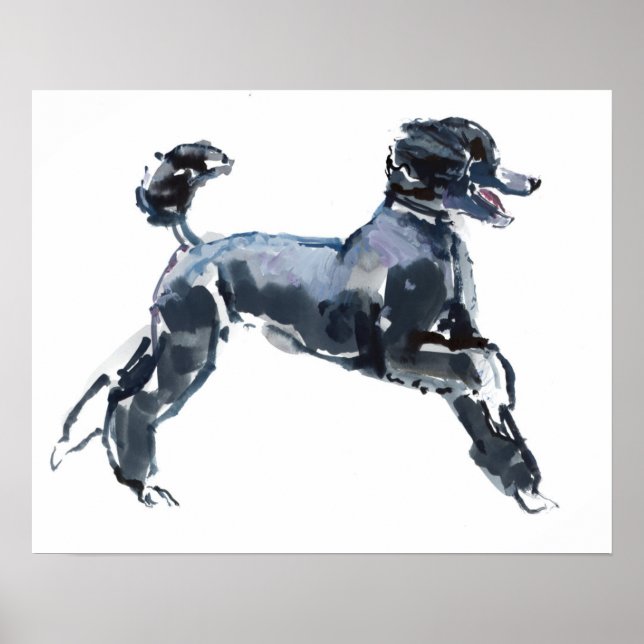 Pôster Sheer Classe 2013 (Frente)