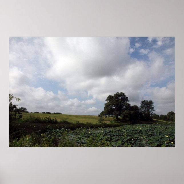 Pôster Shelby Fazenda (Frente)