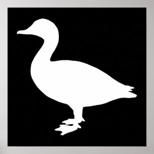 Pôster Sheldrake Duck