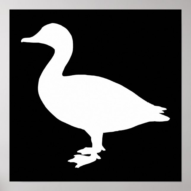 Pôster Sheldrake Duck (Frente)