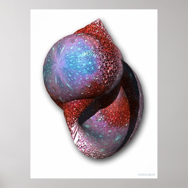 Pôster Shell (Frente)