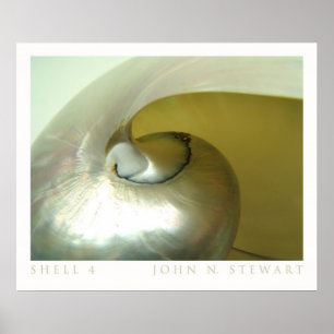 Pôster Shell #4