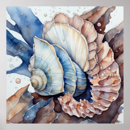 Poster Shell de Conch Vermelho e Azul Mudado