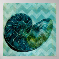 Shell do Conch de Turquesa Espiral