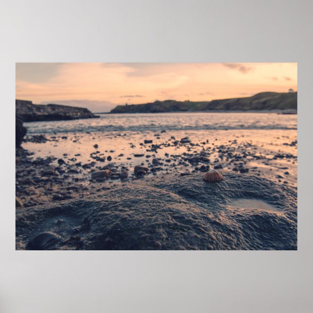 Poster Shell do Mar do Norte (Frente)