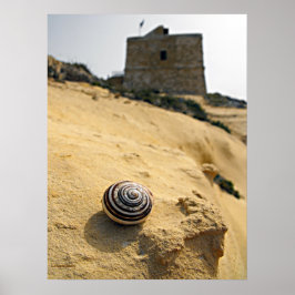 Pôster Shell e Tower, Gozo