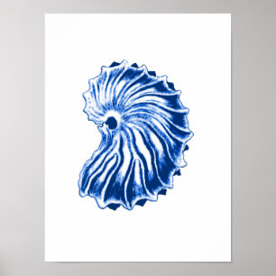 Poster Shell Espiral, Azul Indigo e Branco